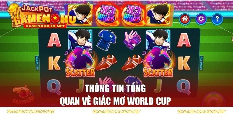 Thông tin tổng quan về giấc mơ World Cup